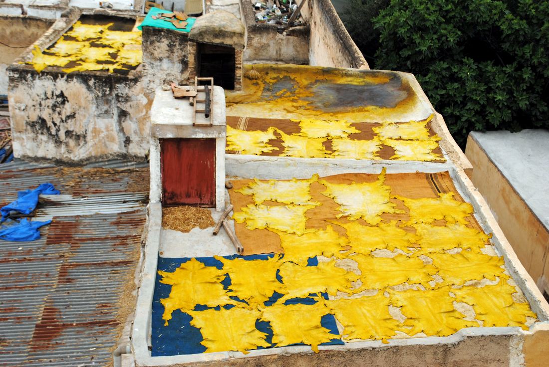 Round stone dye pits of the Chouara tannery in Fes filled with colored liquid